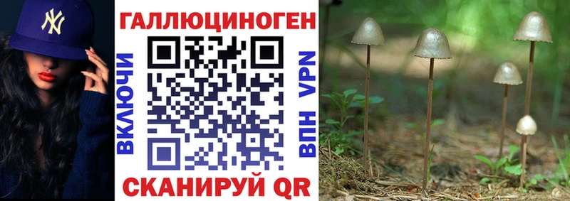МЕГА ссылки  дарк нет наркотические препараты  Псилоцибиновые грибы Cubensis  Чкаловск 